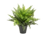 EUROPALMS Fern bush in pot, artificial plant, 51 leaves, 48cm