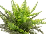 EUROPALMS Fern bush in pot, artificial plant, 51 leaves,...