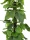 EUROPALMS Pothos, Kunstpflanze, 180cm