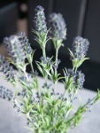 EUROPALMS Lavender bush, artificial, 61cm