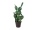 EUROPALMS Mixed cactuses, artificial plant, green, 54cm