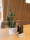 EUROPALMS Mixed cactuses, artificial plant, green, 54cm
