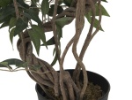 EUROPALMS Ficus multiple spiral trunk, artificial plant, green, 130cm