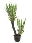 Orchideen-Kaktus, Kunstpflanze, 160cm