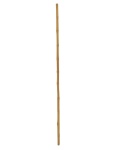 EUROPALMS Bamboo tube, Ø=3cm, 200cm