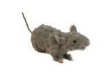 EUROPALMS Rat, lifelike with coat 30cm