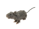 Ratte, lebensecht mit Fell 30cm