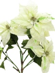 EUROPALMS Poinsettia bush, cream, 60cm