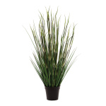 Mix Bambou-herbe doigneau dans le pot  Color: vert Size:...
