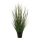 Mix Bambou-herbe doigneau dans le pot     Taille: 86 cm    Color: vert