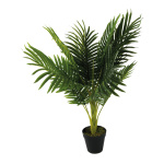 Areca Palme, mit Kunststoff Topf, Größe: 70cm Farbe: grün...