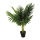 Palmier aréca avec pot en plastique  Color: vert Size: 70cm