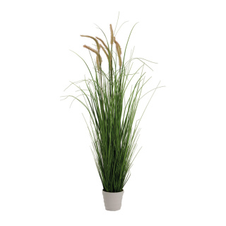 Onion grass in pot  - Material:  - Color: green - Size: 110cm