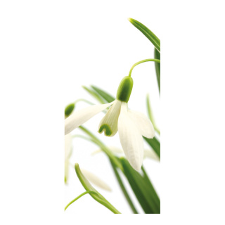 Banner "Snowdrop" paper - Material:  - Color: white/green - Size: 180x90cm