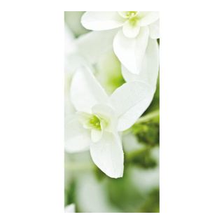 Motivdruck "Blütentraum", Papier, Größe: 180x90cm Farbe: weiß   #