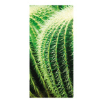 Motivdruck Kaktus, Papier, Größe: 180x90cm Farbe: grün,   #