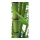Motif imprimé Bambou tissu  Color: vert Size: 180x90cm