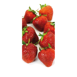  Motivdruck Erdbeeren aus Stoff