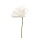 Rose en mousse, avec tige     Taille: Ø 30cm    Color: blanc