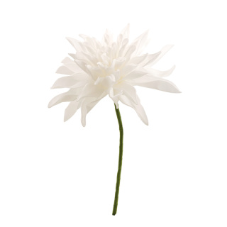 Dahlia flower head with 27cm stem - Material:  - Color: white - Size: Ø30cm
