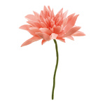 Dahlia flower head, with 27cm stem,  Size:;Ø30cm...