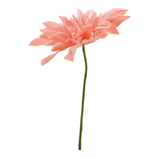 Dahlia flower head with 45cm stem - Material:  - Color: peach-coloured - Size: Ø50cm