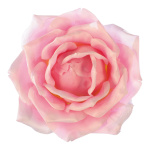 Rosenkopf Kunstseide Größe:Ø 40cm Farbe: pink