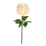 Rose,  Größe: Ø 50cm, Farbe: cremefarben