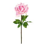 Rose Kunstseide Größe:Ø 50cm, 135cm Farbe: pink    #