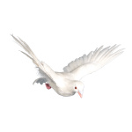 Pigeon volant styropor avec plumes Color: blanc Size:...