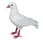 Pigeon styromousse avec plumes  Color: blanc Size:...