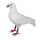 Taube aus Styropor, mit Federn     Groesse: 22x23x10cm    Farbe: weiß