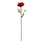 Rose  Größe:60cm Farbe: rot