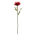 Rose      Size: 60cm    Color: red