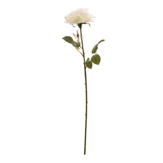 Rose      Size: 60cm    Color: white