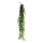 Pothos leaves-hanger 13-fold     Size: 200cm    Color: light green