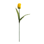 Tulipe      Taille: 50 cm    Color: jaune