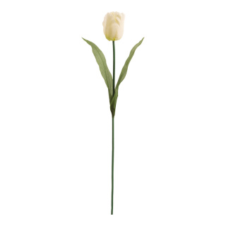 Tulip  - Material:  - Color: white - Size: 50cm