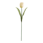 Tulpe  Größe:50cm Farbe: weiss
