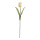 Tulpe      Groesse: 50cm - Farbe: weiss