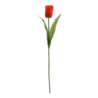 Tulipe      Taille: 50 cm    Color: orange