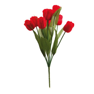 Bouquet of tulips 9-fold     Size: 48cm    Color: red