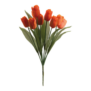 Bouquet of tulips 9-fold     Size: 48cm    Color: orange