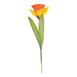 Giant daffodil Ø 40cm flower head     Size: 118cm...