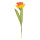 Giant daffodil Ø 40cm flower head     Size: 118cm    Color: orange/green