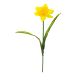 Daffodil  - Material:  - Color: yellow/green - Size: 50cm