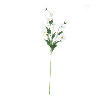 Marguerite spray 5-fold     Size: 80cm    Color: white/green