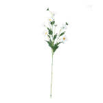 Marguerite spray 5-fold - Material:  - Color: white/green...
