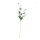 Marguerite spray 5-fold     Size: 80cm    Color: white/green