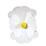 Blüte, aus Papier, Größe: Ø45cm Farbe: weiss